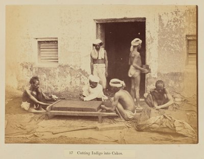 Découpage de l
