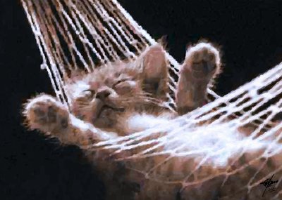 Chaton dans un hamac - Osvaldo Russo