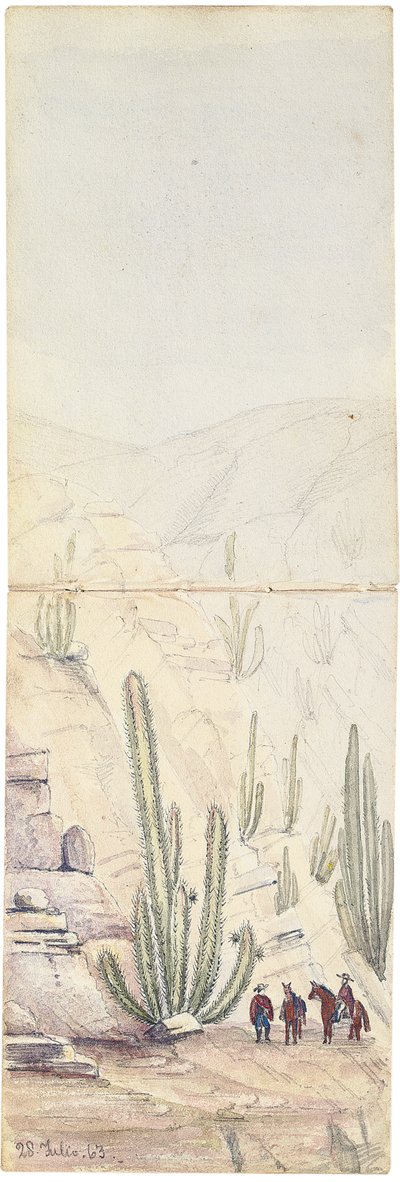 Cactus dans une profonde "Quebrada", 1863 - Oswald Younghusband