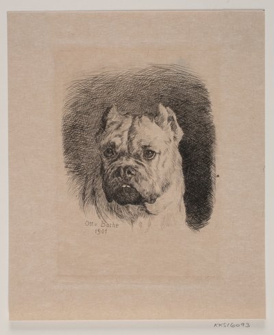 Une tête de chien - Otto Bache