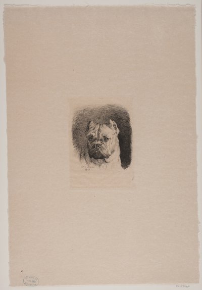 Une tête de chien - Otto Bache