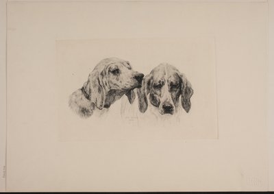 Deux têtes de chien - Otto Bache