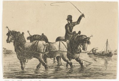 Trois chevaux de trait dans l