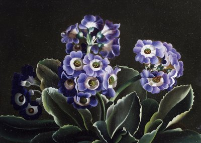  - Otto Didrik Ottesen