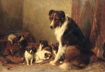 Un Colley avec ses Chiots - Otto Eerelman