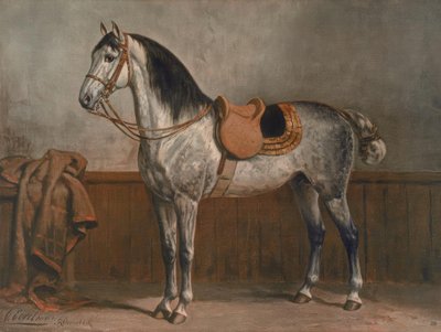 Lipizzan - Otto Eerelman
