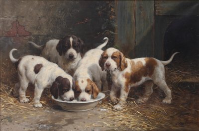 Chiots Saint Bernard buvant du lait - Otto Eerelman