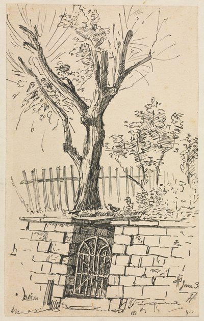 Arbre sur un mur de pierre, Cleveland - Otto H. Bacher