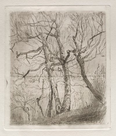 Arbres - Otto H. Bacher