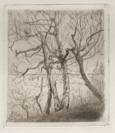 Bois au bord du lac - Otto H. Bacher