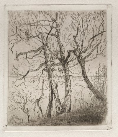 Bois près du lac, 1878 - Otto H. Bacher