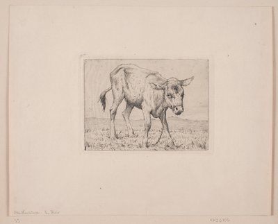 Un veau - Otto Haslund