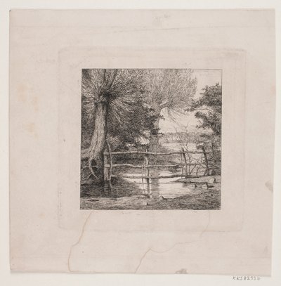 Saules près d