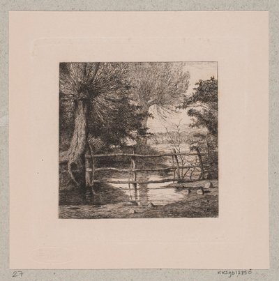 Saules près d
