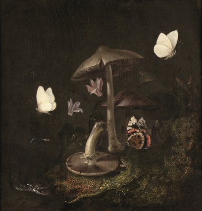Un "sotto bosco" avec des champignons, des papillons, une libellule, un serpent et un lézard (huile sur toile) - Otto Marseus van Schrieck