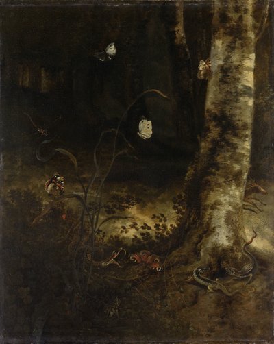 Sol forestier avec un serpent, des lézards, des papillons et d