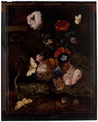 Nature morte forestière - Otto Marseus  van Schrieck