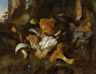 Nature morte au sol forestier avec champignons, papillons et serpent - Otto Marseus  van Schrieck