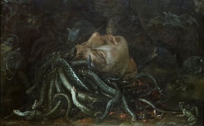 Tête de Méduse - Otto Marseus  van Schrieck