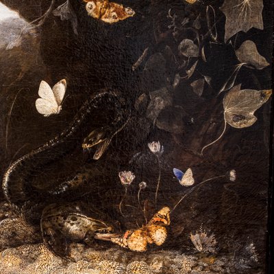 Serpents, crapauds et papillons - Otto Marseus van Schrieck