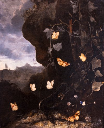 Serpents, crapauds et papillons - Otto Marseus van Schrieck