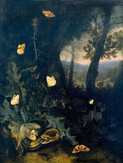 Sol forestier avec chardon et serpent - Otto Marseus  van Schrieck