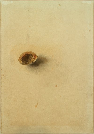 Coquille de noix - Otto Meyer Amden