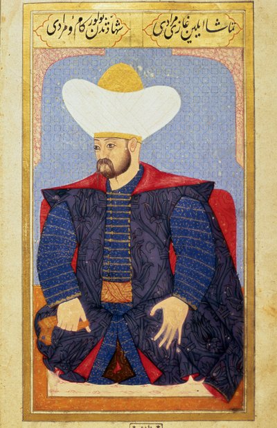 Portrait du sultan de l