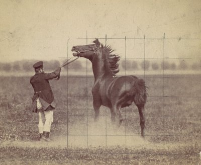 Cheval, 1884 - Ottomar Anschütz