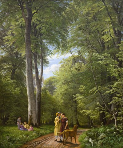 Un bois de hêtres en mai près du manoir d