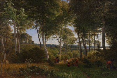 Bois de Delhoved près du lac Skarre, Zélande. Lumière de l