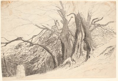 Une pente avec de grands arbres dans une forêt, avec deux dames marchant - P.C. Skovgaard