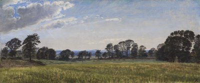 Engene près de Dortheaslyst - P.C. Skovgaard