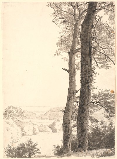 Paysage près de Skarritsø avec deux grands arbres, des hêtres, au premier plan - P.C. Skovgaard