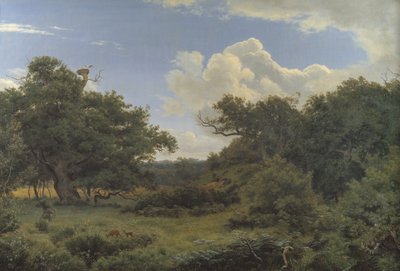 Chênes dans la forêt de Nordskoven près de Jægerspris, Zélande - P.C. Skovgaard