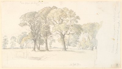 Paysage de Jægersborg Dyrehave avec des arbres isolés - P.C. Skovgaard