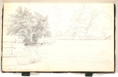 Paysage forestier près d
