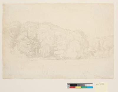 Lac forestier avec de grands hêtres en arrière-plan - P.C. Skovgaard