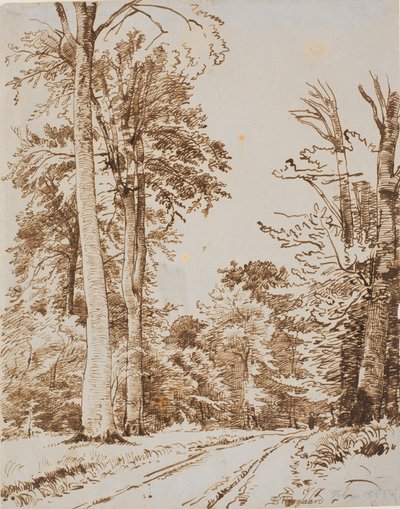 Chemin forestier. Iselinge - P.C. Skovgaard