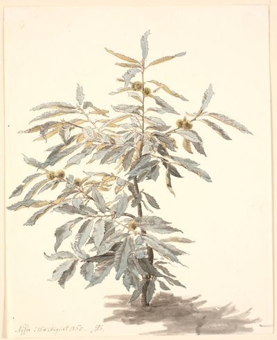 Étude d