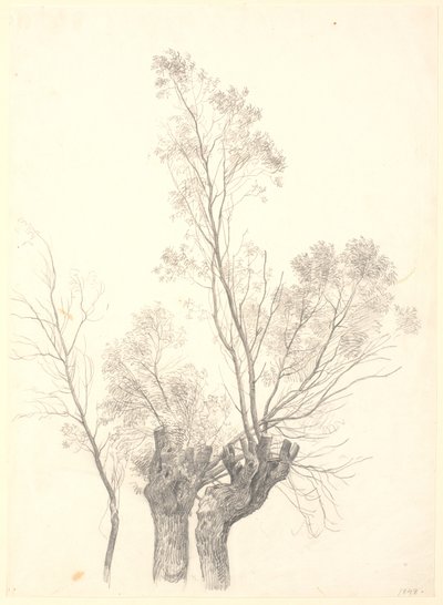 Étude de saules taillés - P.C. Skovgaard