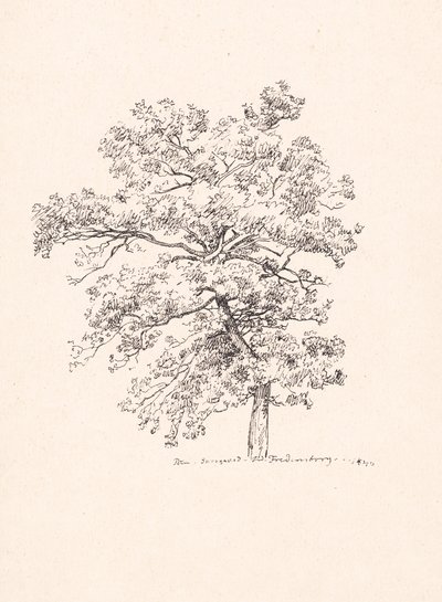 Arbre à Fredensborg - P.C. Skovgaard