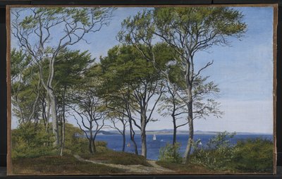 Vue à travers des hêtres sur un fjord - P.C. Skovgaard
