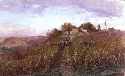 Vendange sur les pentes de l