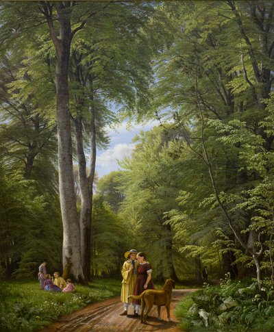 Forêt de hêtres en mai. Motif d