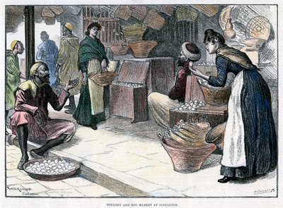 Marché de volailles et d