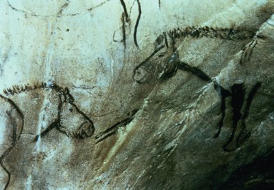 Chevaux, peintures rupestres dans la Salle Noire, Magdalénien - Paleolithic Paleolithic