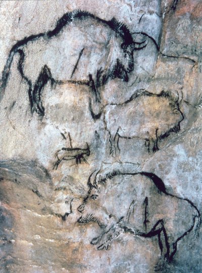 Bison blessé, Magdalénien - Paleolithic Paleolithic