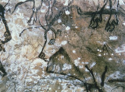 Taureau blessé, peinture rupestre, Magdalénien - Paleolithic Paleolithic