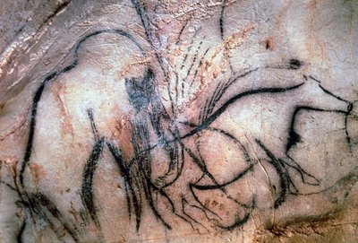 Peintures représentant des mammouths et du bétail, de la Chapelle des Mammouths - Paleolithic Paleolithic